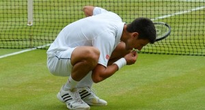 Wimbledon 2015 final Djokovic